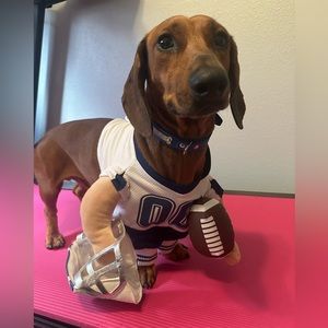 Dog costume- football player